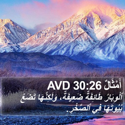 أَمْثَالٌ 30:26 AVD Bible Verse Image