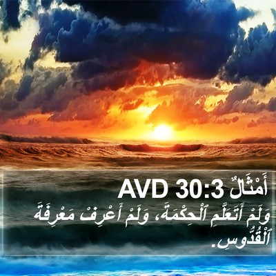 أَمْثَالٌ 30:3 AVD Bible Verse Image