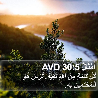 أَمْثَالٌ 30:5 AVD Bible Verse Image