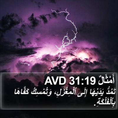 أَمْثَالٌ 31:19 AVD Bible Verse Image