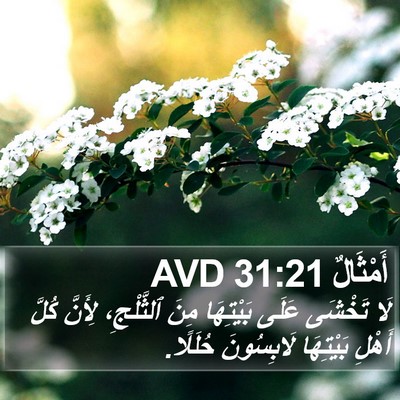 أَمْثَالٌ 31:21 AVD Bible Verse Image