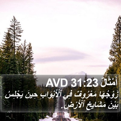 أَمْثَالٌ 31:23 AVD Bible Verse Image