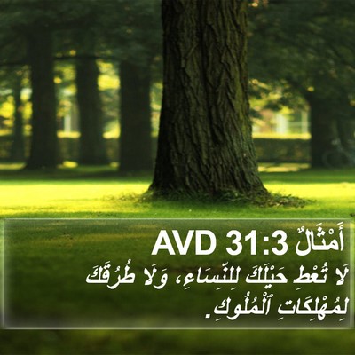 أَمْثَالٌ 31:3 AVD Bible Verse Image