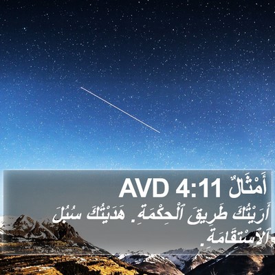 أَمْثَالٌ 4:11 AVD Bible Verse Image