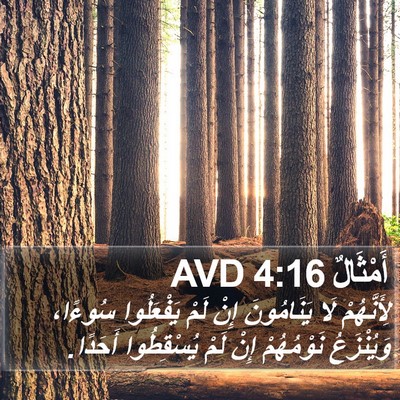 أَمْثَالٌ 4:16 AVD Bible Verse Image