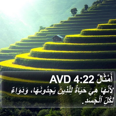 أَمْثَالٌ 4:22 AVD Bible Verse Image