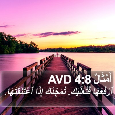 أَمْثَالٌ 4:8 AVD Bible Verse Image