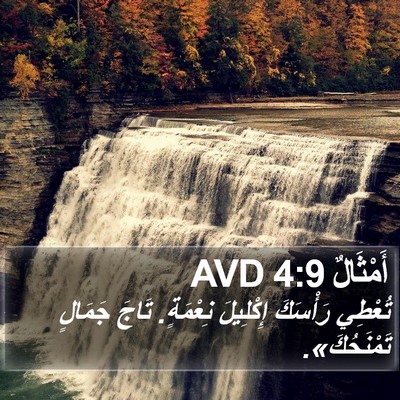 أَمْثَالٌ 4:9 AVD Bible Verse Image