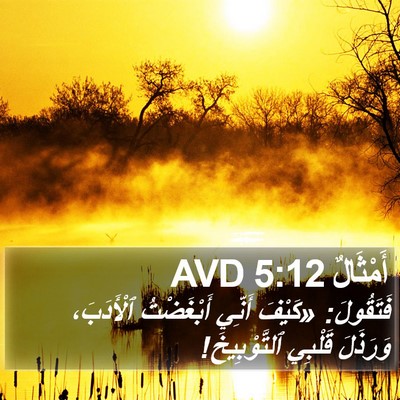 أَمْثَالٌ 5:12 AVD Bible Verse Image
