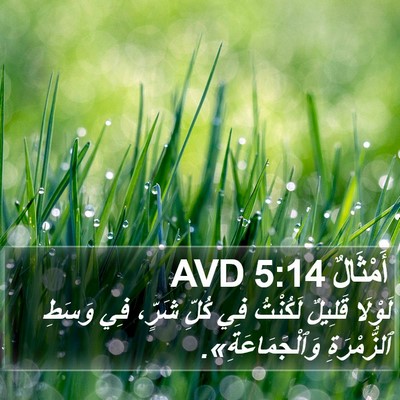 أَمْثَالٌ 5:14 AVD Bible Verse Image