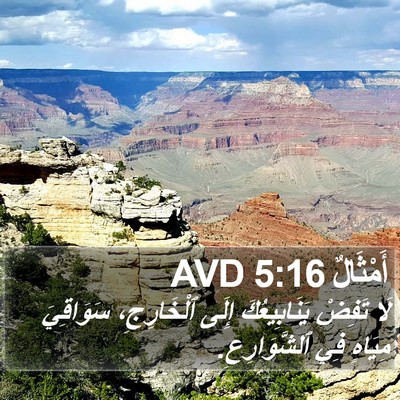 أَمْثَالٌ 5:16 AVD Bible Verse Image
