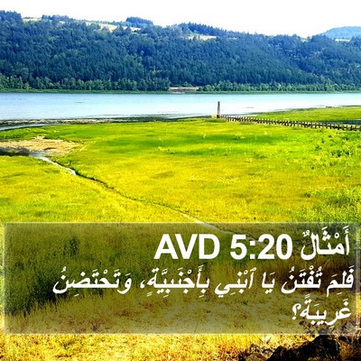 أَمْثَالٌ 5:20 AVD Bible Verse Image