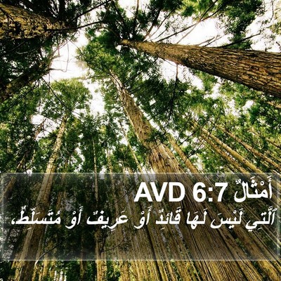 أَمْثَالٌ 6:7 AVD Bible Verse Image