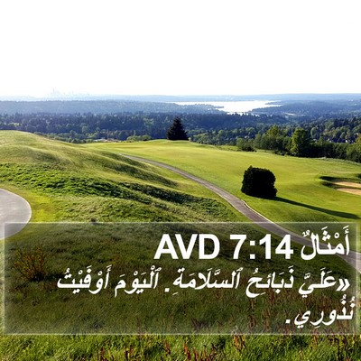 أَمْثَالٌ 7:14 AVD Bible Verse Image