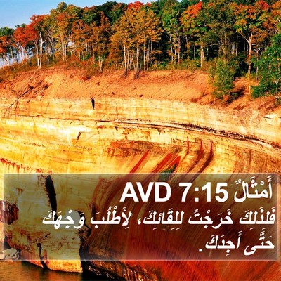 أَمْثَالٌ 7:15 AVD Bible Verse Image