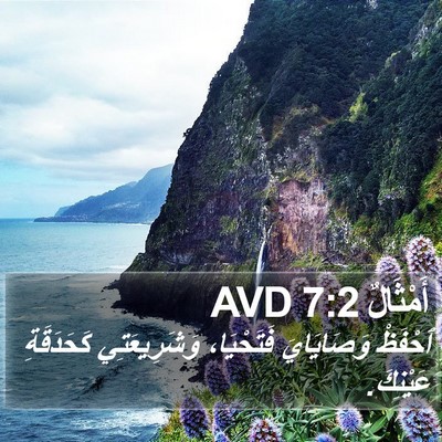 أَمْثَالٌ 7:2 AVD Bible Verse Image