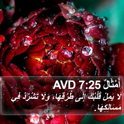 أَمْثَالٌ 7:25 AVD Bible Verse Image
