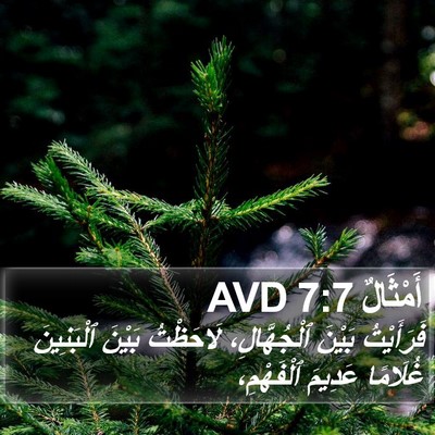 أَمْثَالٌ 7:7 AVD Bible Verse Image