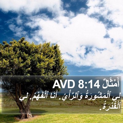 أَمْثَالٌ 8:14 AVD Bible Verse Image