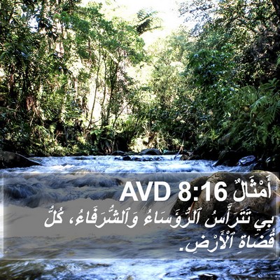 أَمْثَالٌ 8:16 AVD Bible Verse Image