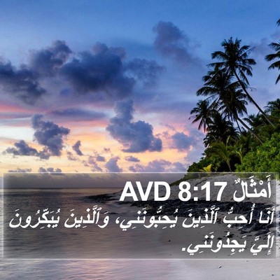 أَمْثَالٌ 8:17 AVD Bible Verse Image