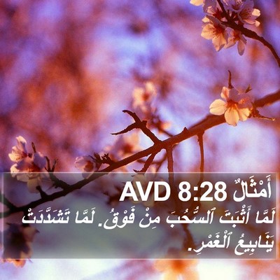 أَمْثَالٌ 8:28 AVD Bible Verse Image