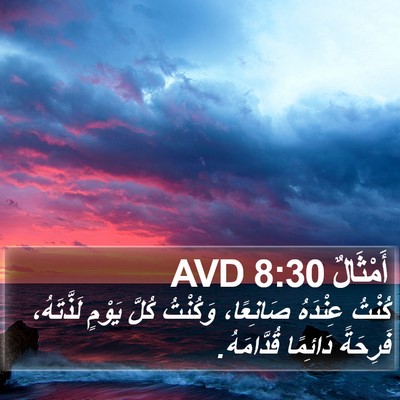 أَمْثَالٌ 8:30 AVD Bible Verse Image