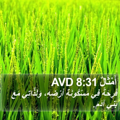 أَمْثَالٌ 8:31 AVD Bible Verse Image