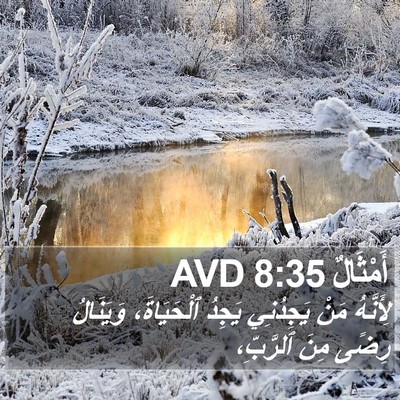 أَمْثَالٌ 8:35 AVD Bible Verse Image