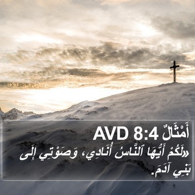 أَمْثَالٌ 8:4 AVD Bible Verse Image