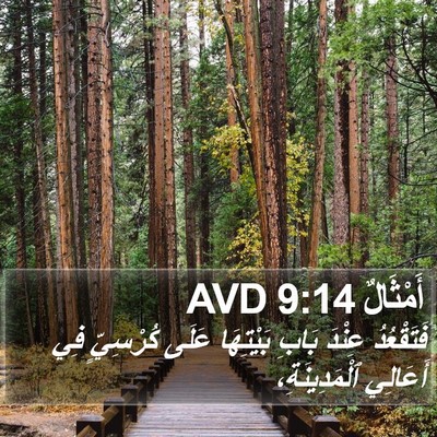 أَمْثَالٌ 9:14 AVD Bible Verse Image