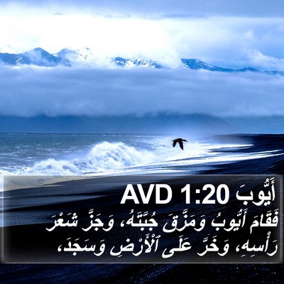 أَيُّوبَ 1:20 AVD Bible Verse Image