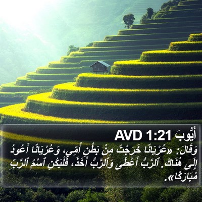 أَيُّوبَ 1:21 AVD Bible Verse Image