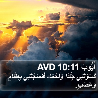 أَيُّوبَ 10:11 AVD Bible Verse Image