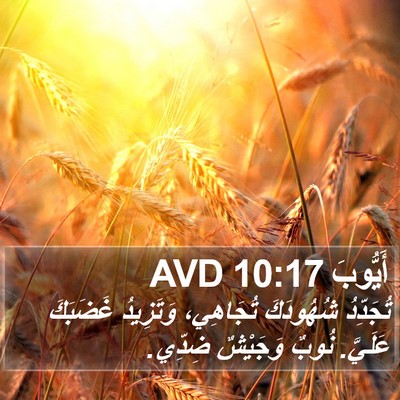 أَيُّوبَ 10:17 AVD Bible Verse Image