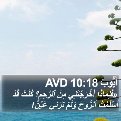 أَيُّوبَ 10:18 AVD Bible Verse Image