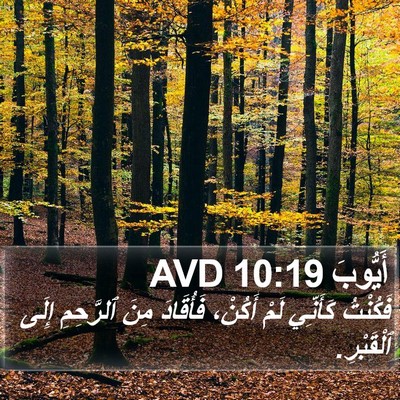 أَيُّوبَ 10:19 AVD Bible Verse Image