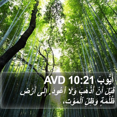 أَيُّوبَ 10:21 AVD Bible Verse Image