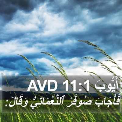 أَيُّوبَ 11:1 AVD Bible Verse Image