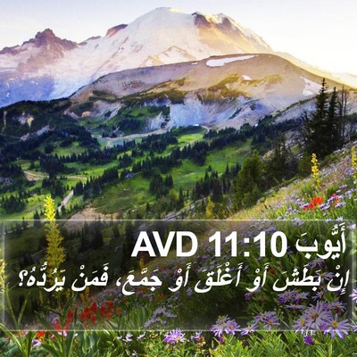 أَيُّوبَ 11:10 AVD Bible Verse Image