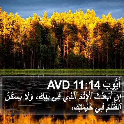 أَيُّوبَ 11:14 AVD Bible Verse Image