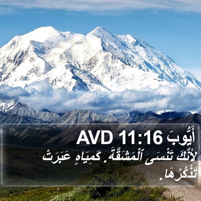 أَيُّوبَ 11:16 AVD Bible Verse Image