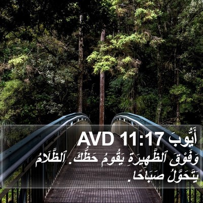 أَيُّوبَ 11:17 AVD Bible Verse Image