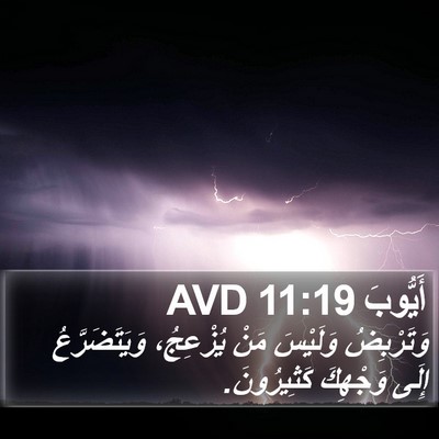 أَيُّوبَ 11:19 AVD Bible Verse Image