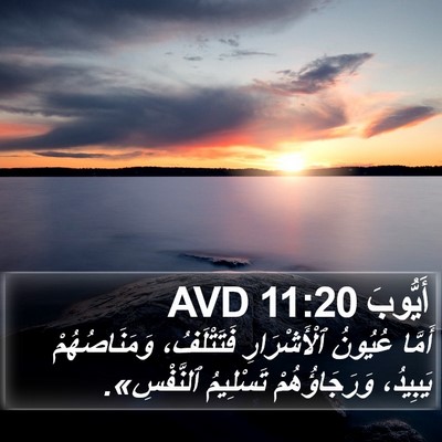أَيُّوبَ 11:20 AVD Bible Verse Image