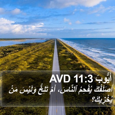 أَيُّوبَ 11:3 AVD Bible Verse Image