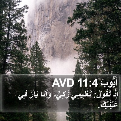 أَيُّوبَ 11:4 AVD Bible Verse Image