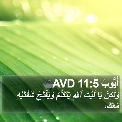 أَيُّوبَ 11:5 AVD Bible Verse Image