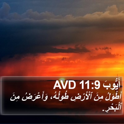 أَيُّوبَ 11:9 AVD Bible Verse Image