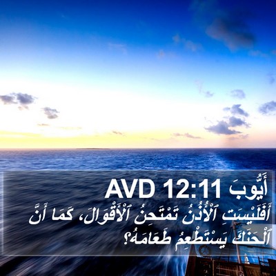 أَيُّوبَ 12:11 AVD Bible Verse Image